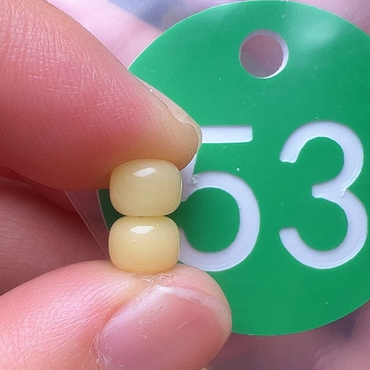 蜜蜡裸石未镶嵌6.3m m