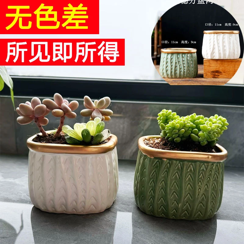 多肉花盆特价创意肉肉植物专用陶盆清仓批发厂家直销陶瓷花盆