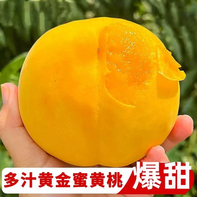 【顺丰/京东】蒙阴黄金水蜜桃新鲜水果黄桃香甜时令应季水果