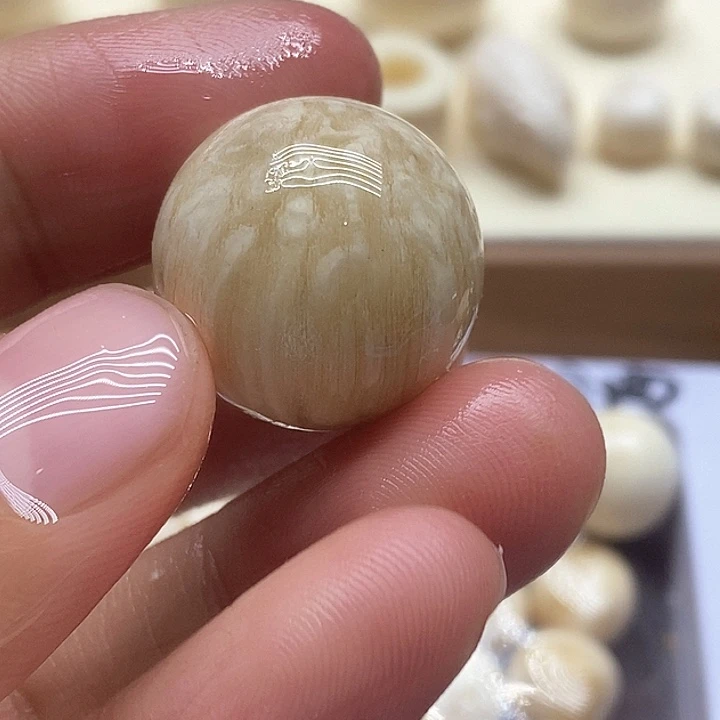 贝壳手串/手链20社会牛头版骨满花朱子