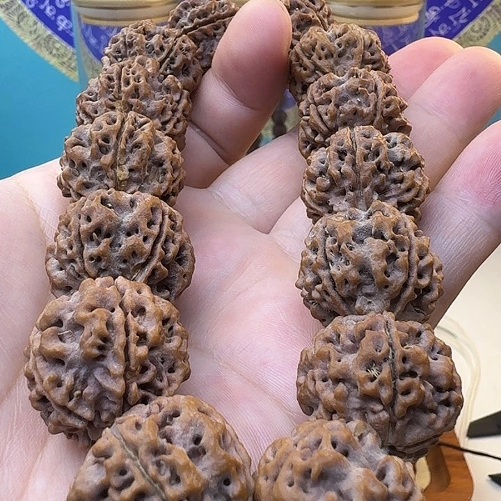 金刚菩提手串原生态大金刚双龙