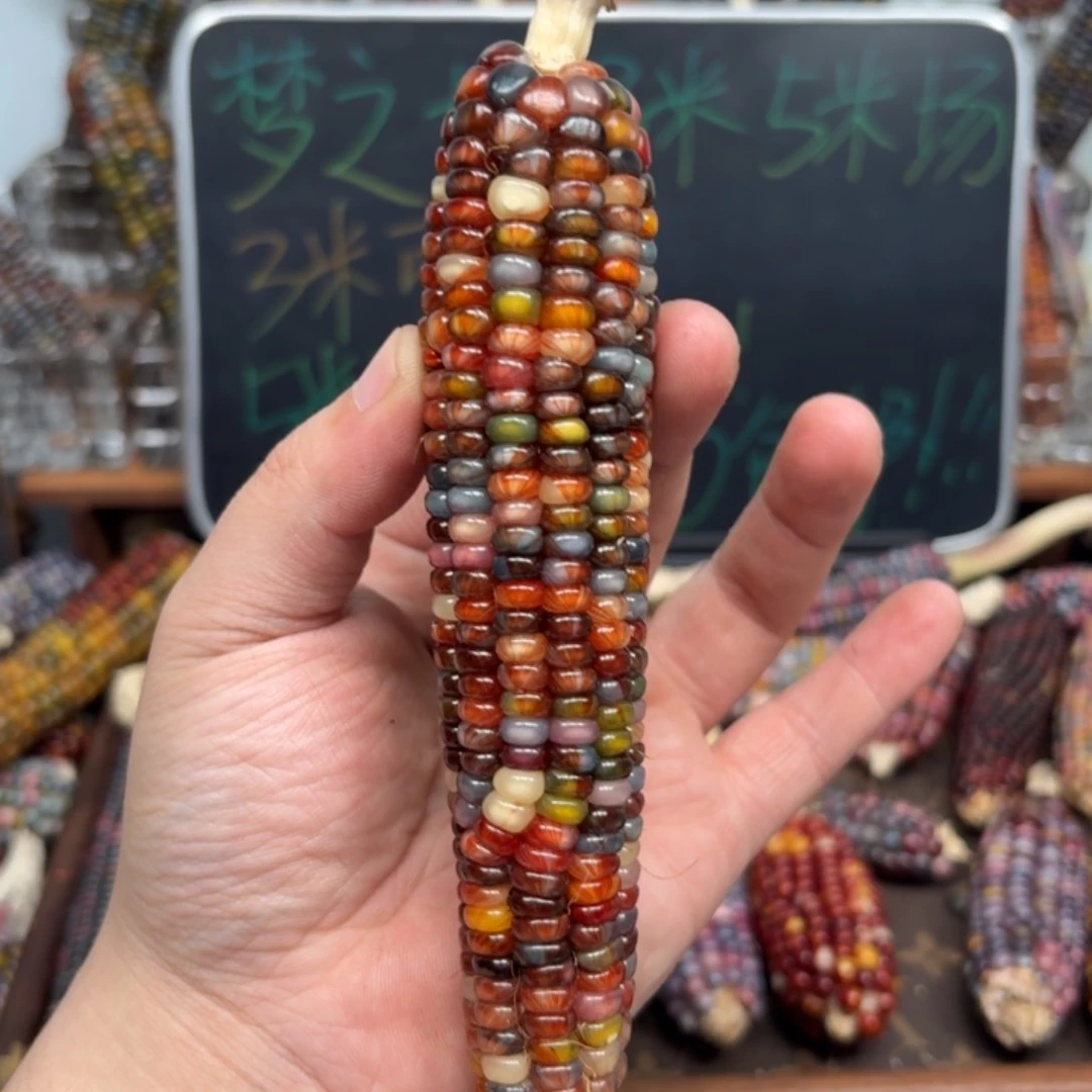 柏香籽/百香籽吊坠?**?