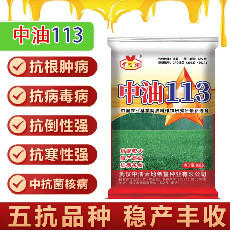 油菜种子中油113甘蓝型杂交油菜种子抗病毒病耐寒抗倒产量高