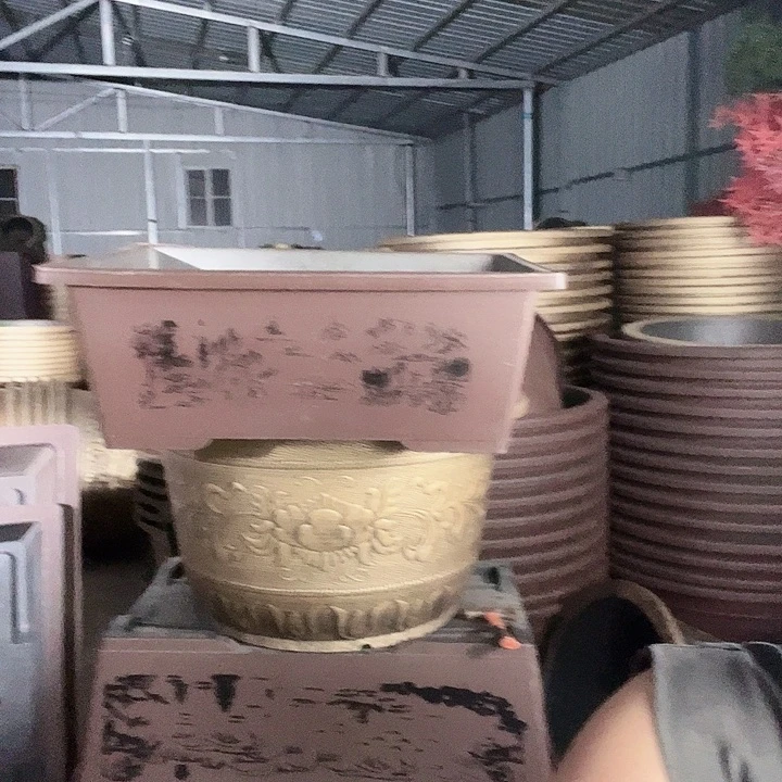 梅花照眼 依然旧风味