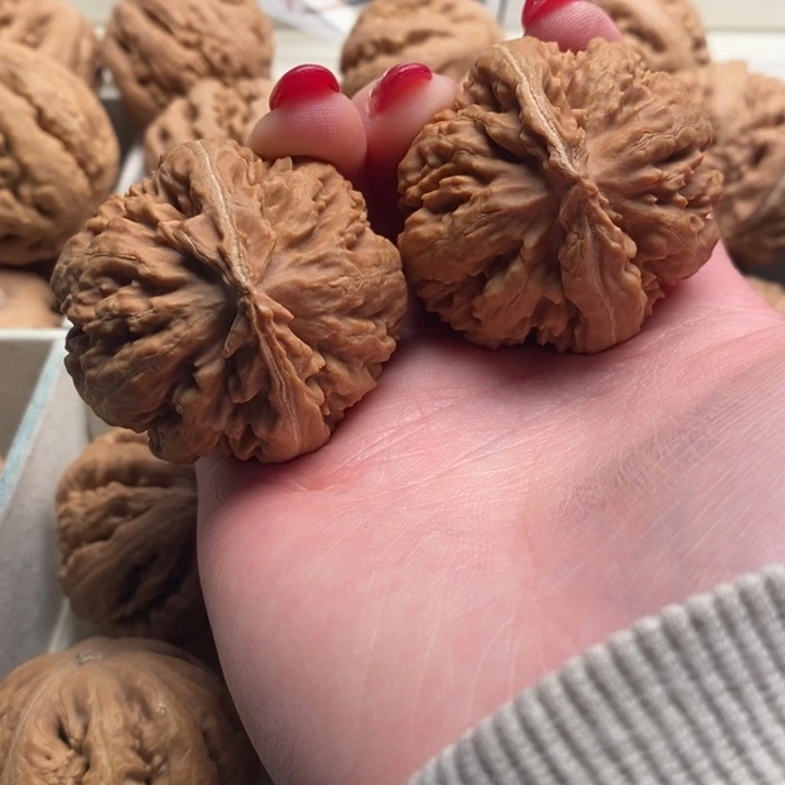 耿***飞霸王龙全品无修一刀没动