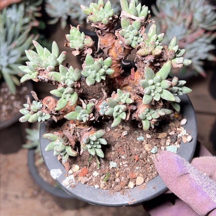 1347哈哈哈哈哈哈哈哈哈