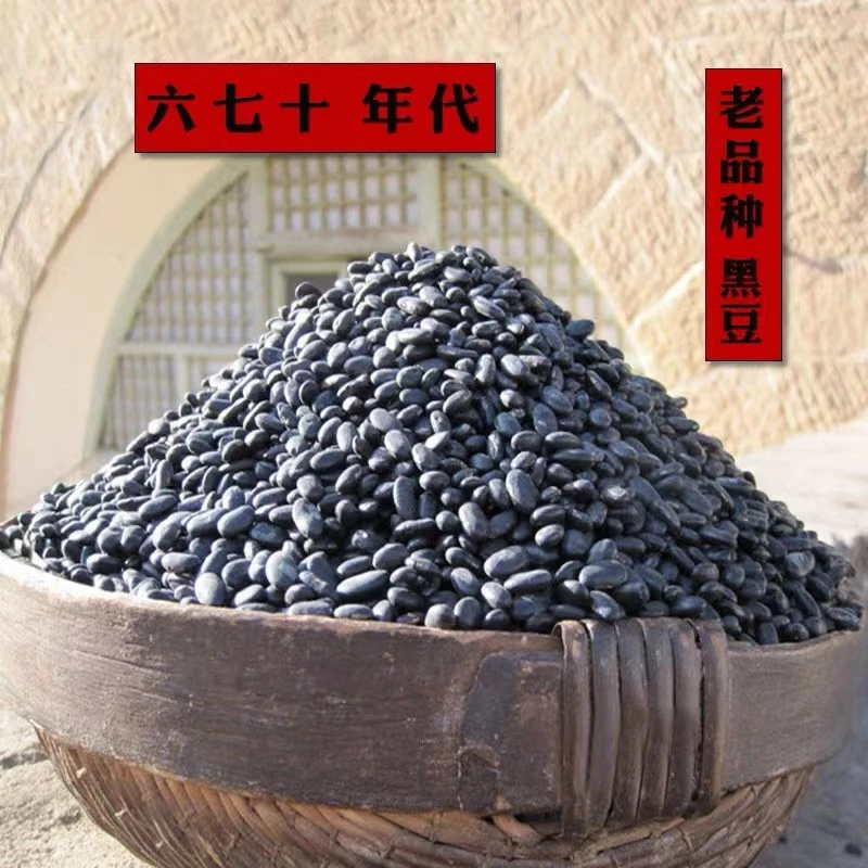 【农民电商】陕北老黑豆五谷杂粮黄芯肾形黑豆自产陕北黑豆豆浆
