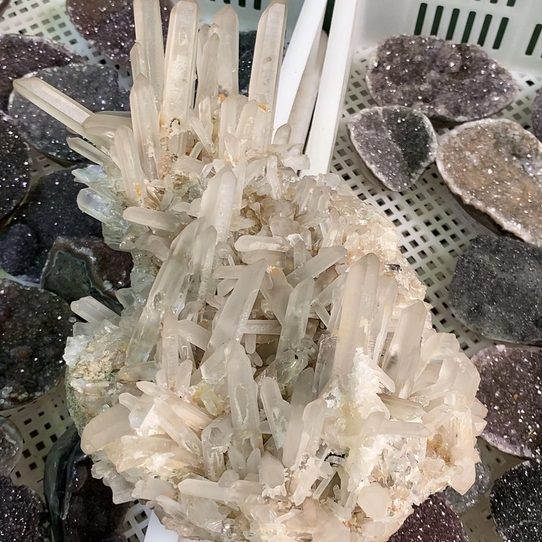 未镶嵌珠宝半成品水晶马**喝