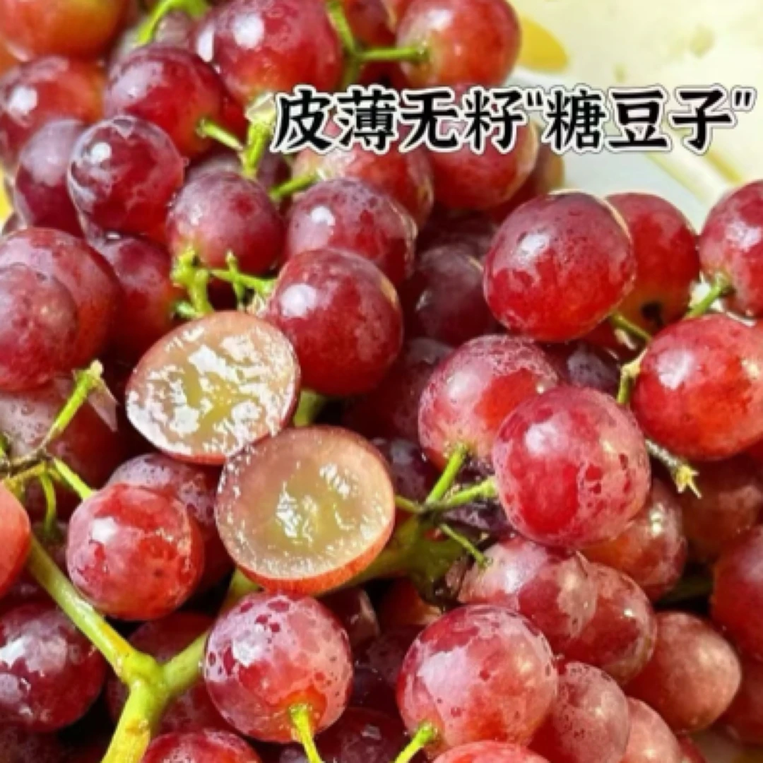 新疆玻璃脆葡萄小糖豆葡萄新鲜水果当季无籽青提全国5仓顺丰冷链