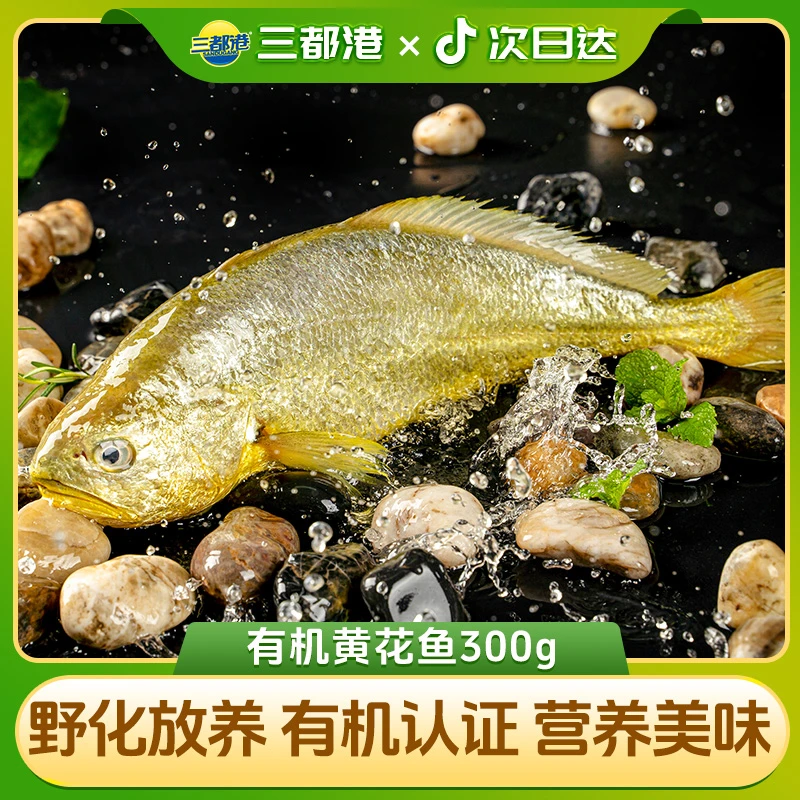 三都港有机黄花鱼300g宁德原产地大黄鱼优选有机新鲜【自播专享】炸鱼