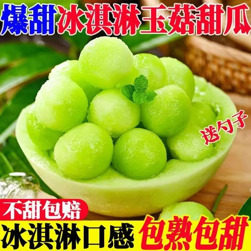 山东爆甜冰激凌玉菇蜜瓜孕妇优选