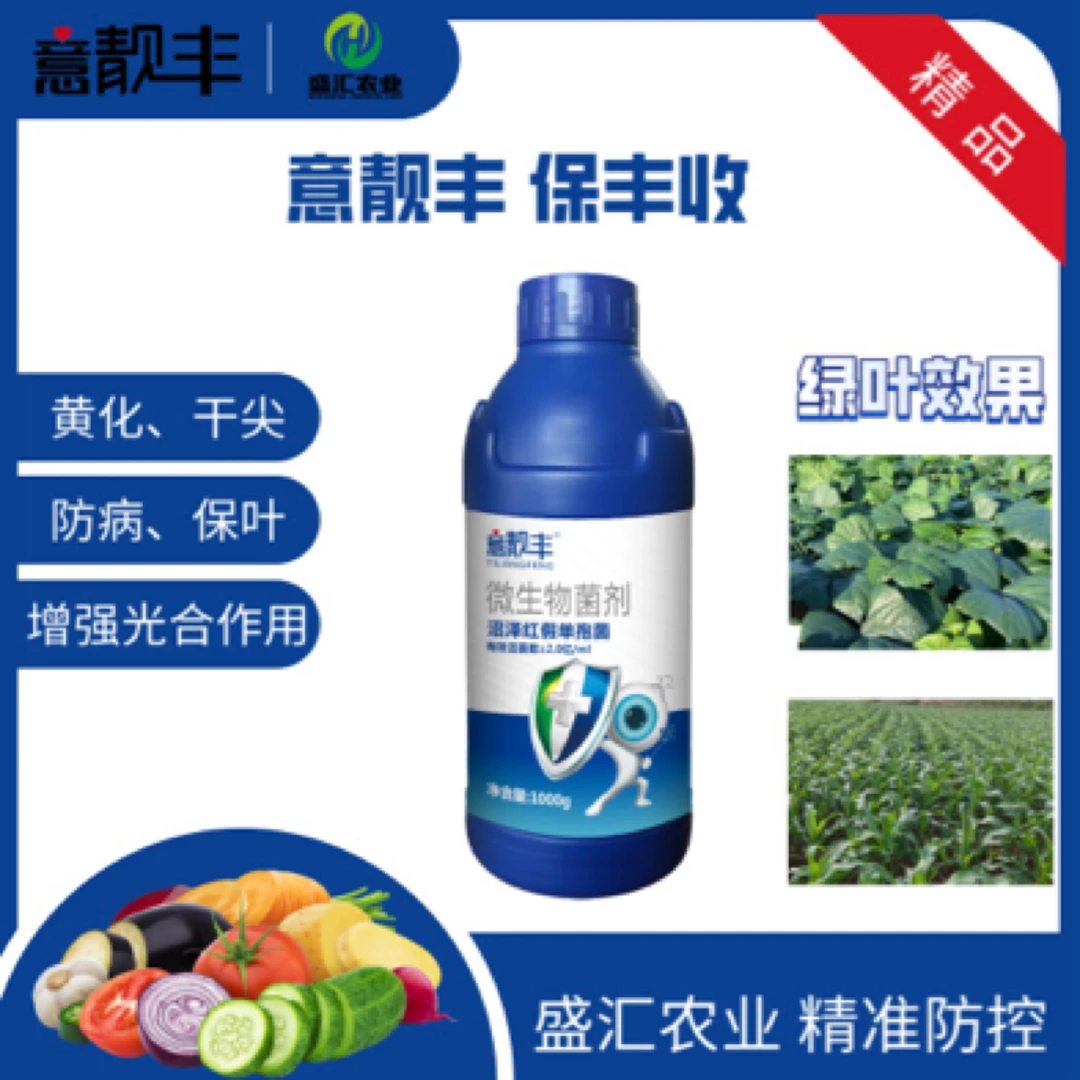 意靓丰黄化绿叶微生物菌剂