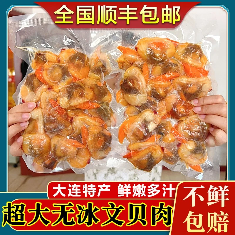 大连大文贝肉鲜活冷冻文贝花甲黄蚬子肉蛤蜊肉肥蛤肉新鲜无沙顺丰