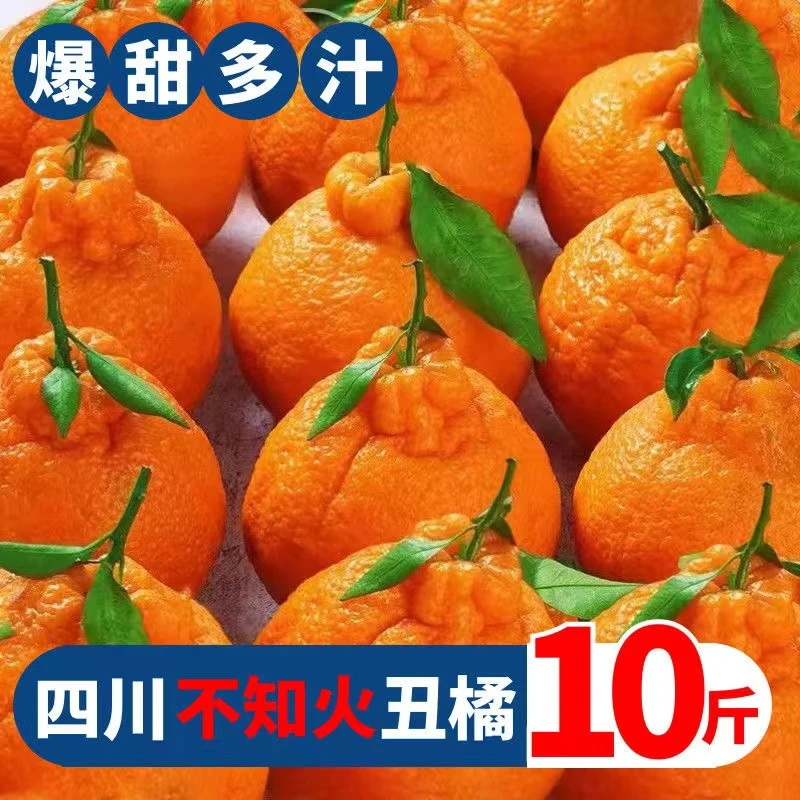 正宗四川不知火丑橘新鲜蜜桔子应当季孕妇水果耙耙柑粑粑柑丑八怪