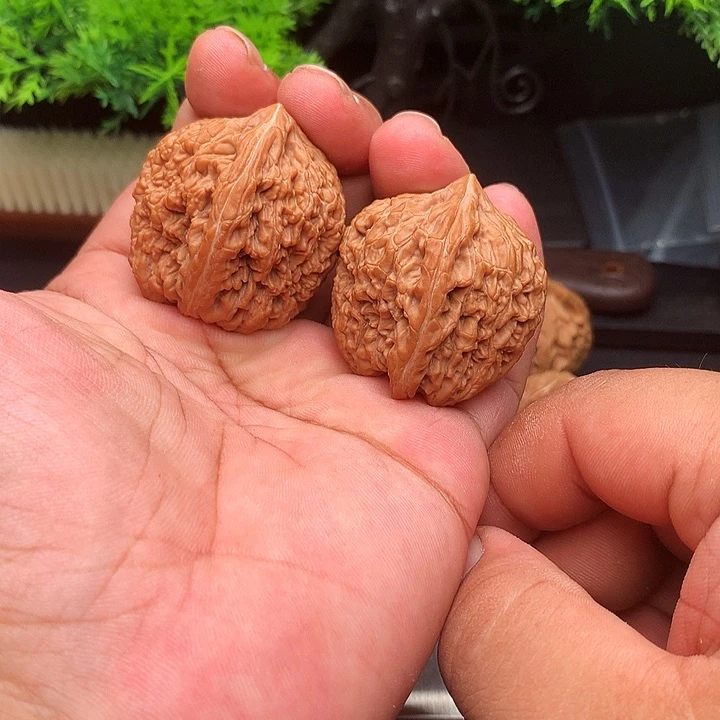 吊坠文玩核桃38蒜头