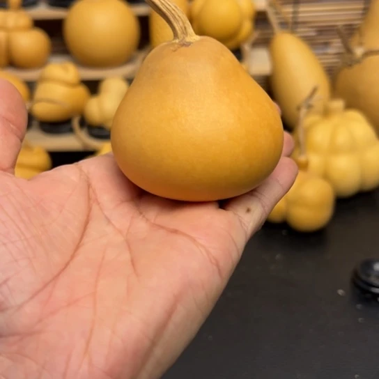 赵*隽125689989988999