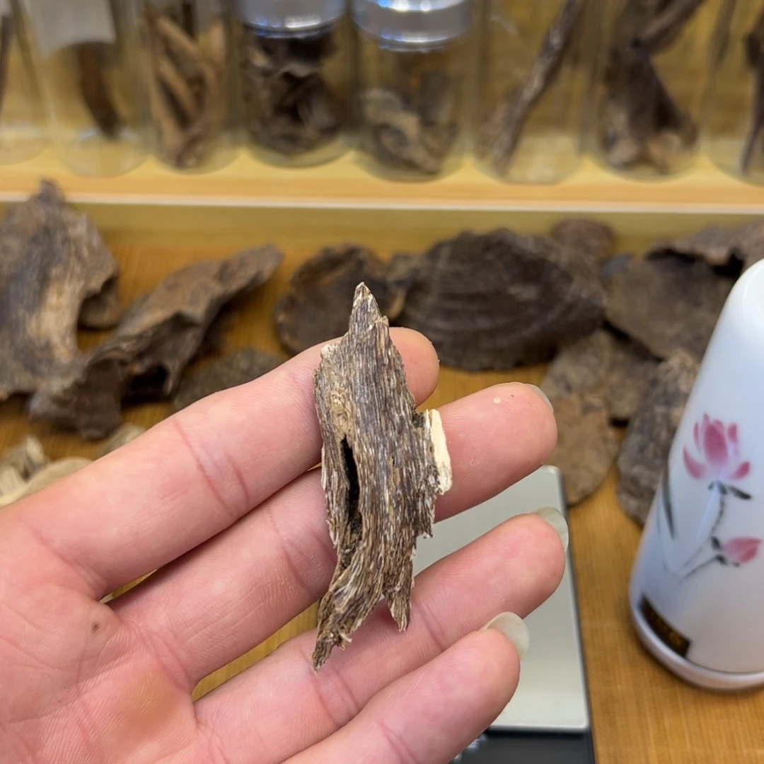 海南天然虫漏树心1.76g