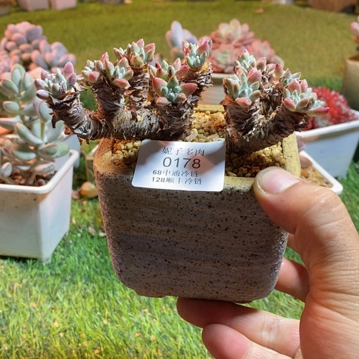 0178啊啊啊啊啊啊啊啊啊