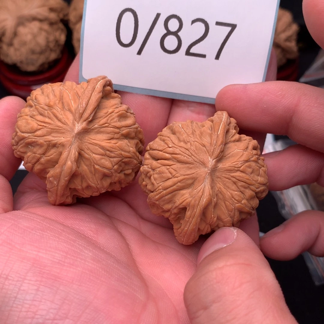 文玩核桃把件红皮正磨43
