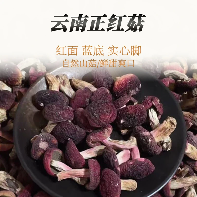 【小菇】2025年新菇 正红菇干货 云南大红菌红面蓝灰底蘑菇 菇雷