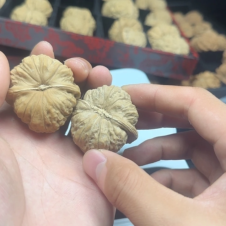 ￴***￴吊坠龙脊菩提啊啊啊啊啊啊南瓜28