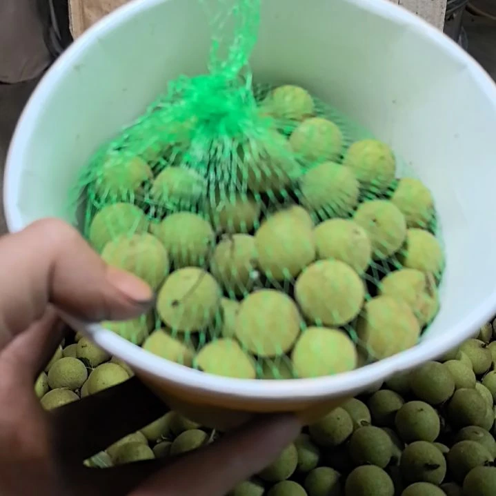 猴头核桃手串凤羽青皮100颗