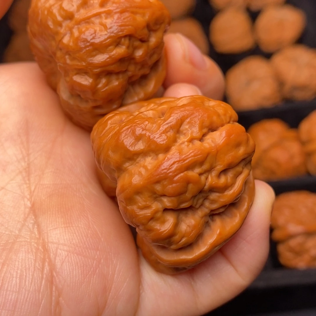 秦岭野生文玩核桃