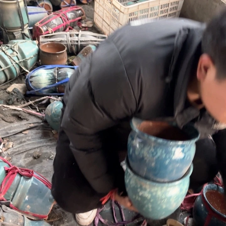 红陶口径 花盆 高度