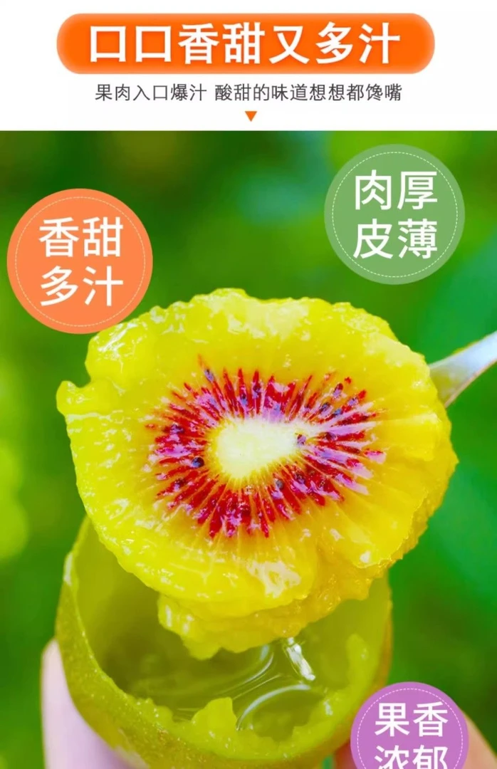 贵州红阳猕猴桃软糯多汁新鲜采摘极速发货