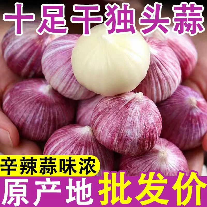 BC/热宝云南紫皮独头蒜当季新蒜晾晒干蒜糖醋蒜腊八蒜蔬菜3/5斤