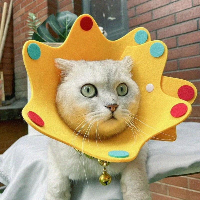 ++宠物防水伊丽莎白圈狗猫耻辱防舔猫咪绝育后用品项圈狗狗猫咪头