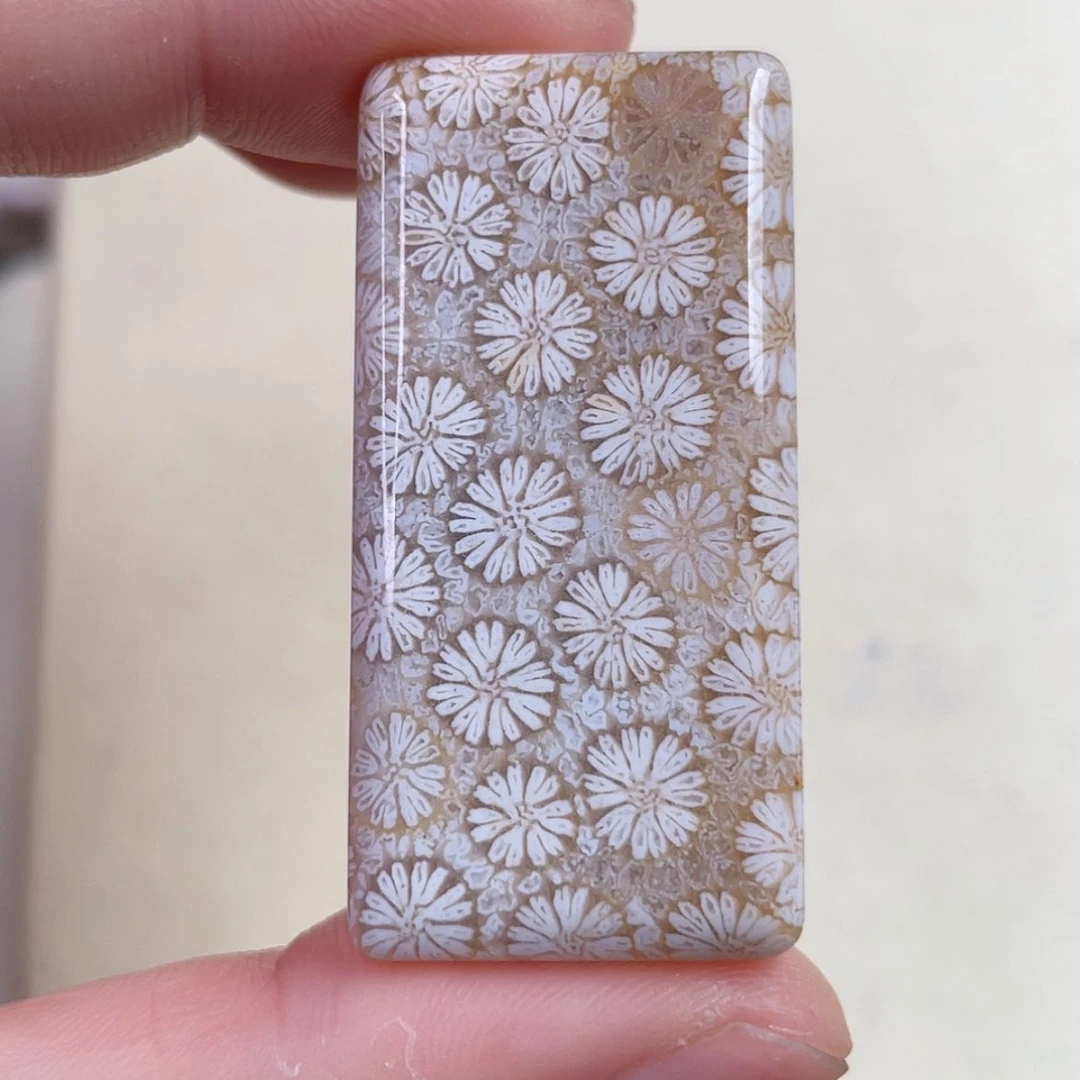 【闪购商品】未镶嵌吊坠(赠链)硅化玉