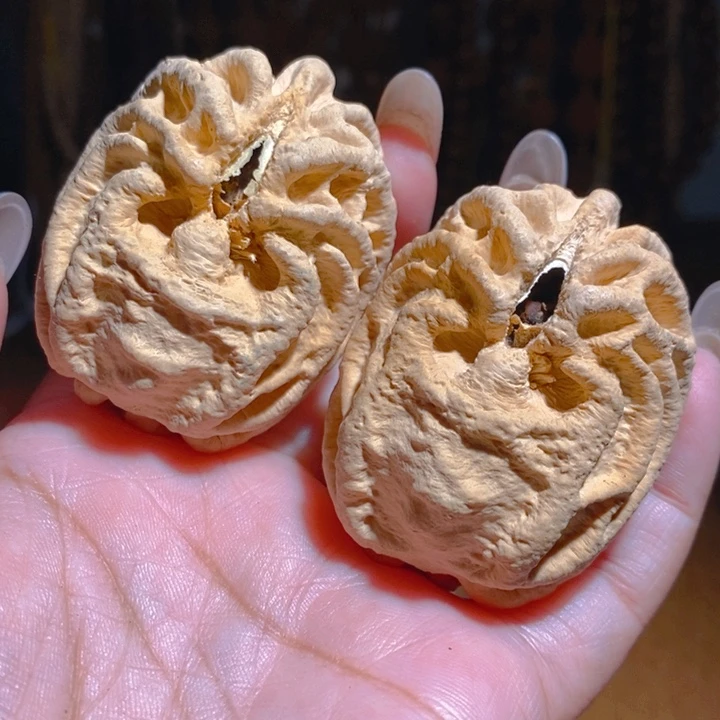 野生鬼脸乾坤核桃4252