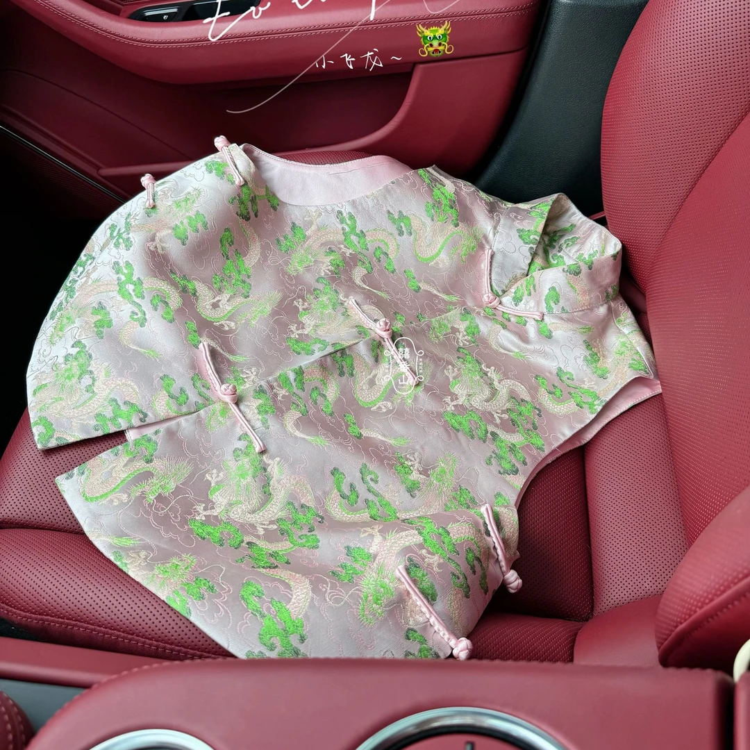 【囍番山·2025·春季】小飞龙·马甲