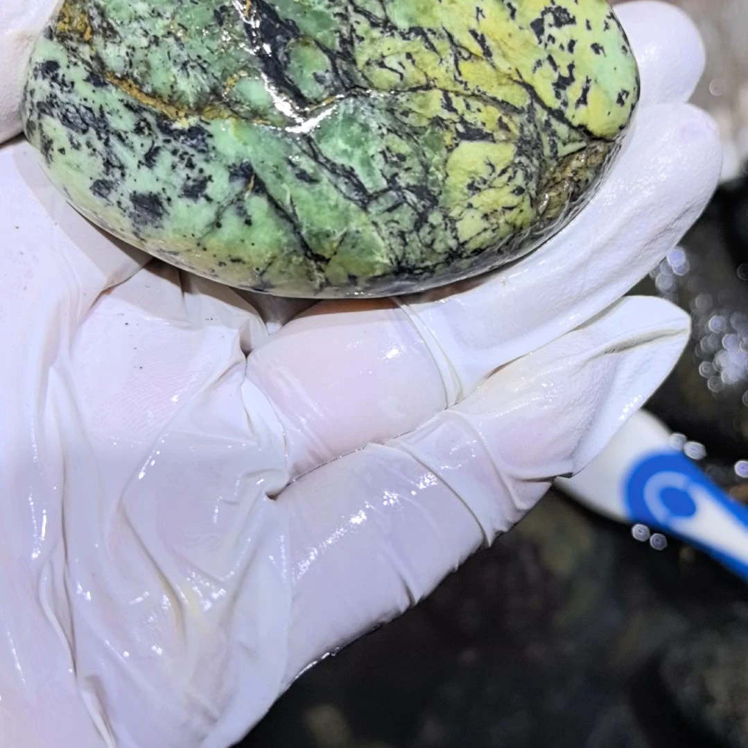 豆***奶藏玉药王石原石一个