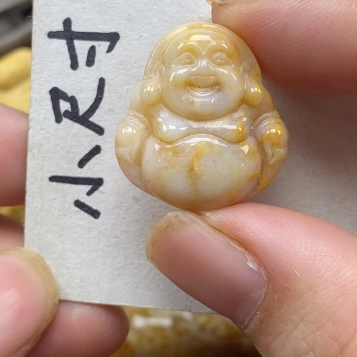 硅化珊瑚（珊瑚玉）未镶嵌颈饰