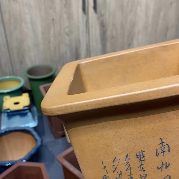紫砂花盆光**月福利来啦