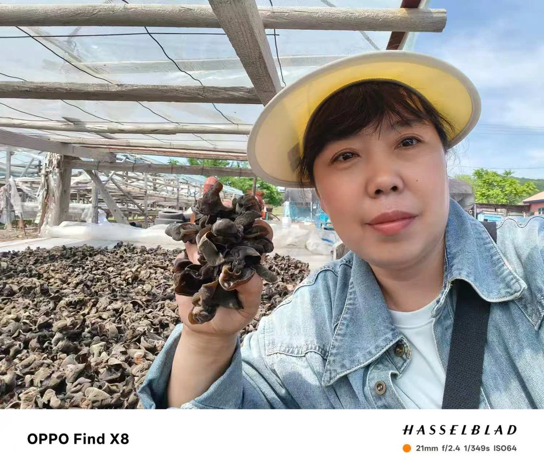 东北特产黑木耳春季头茬肉厚Q弹自然晾晒2斤（1000克）