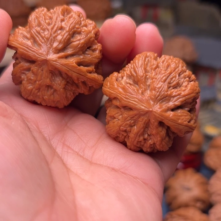 核桃40大粗筋大粗筋大粗筋