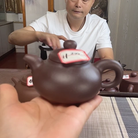 茶***生茶壶紫泥紫泥的丰韵