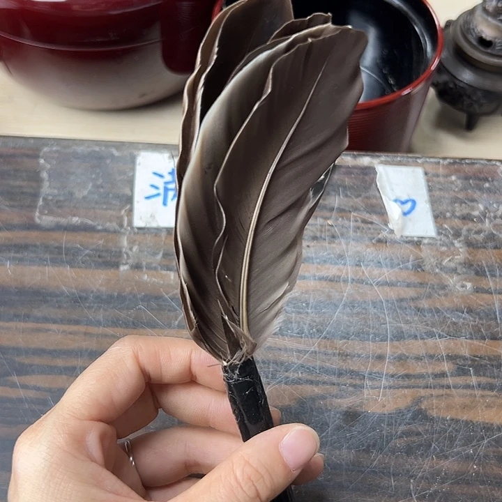 美丽动人的直播间