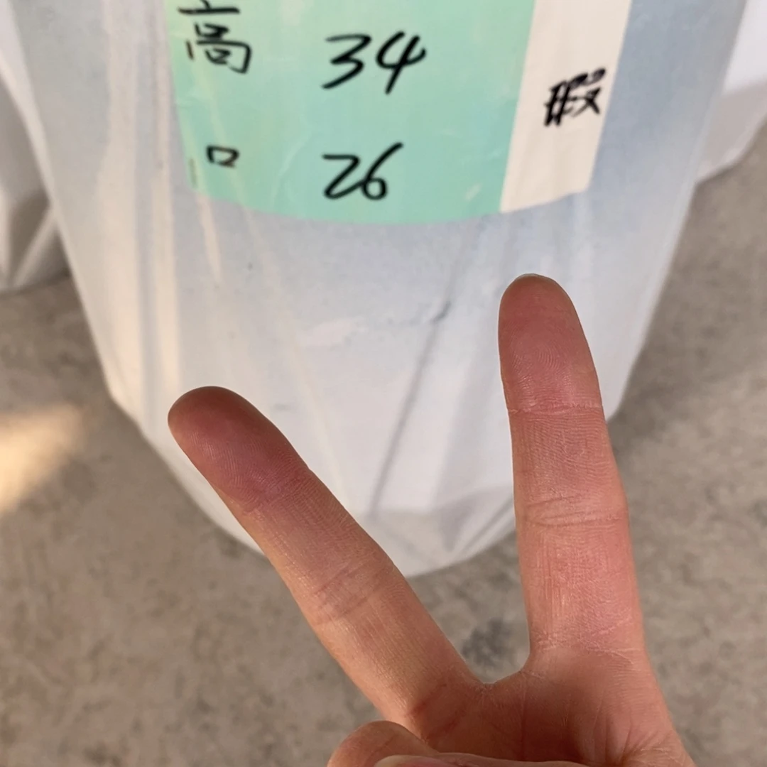 清***曦高温陶瓷默认瑕疵