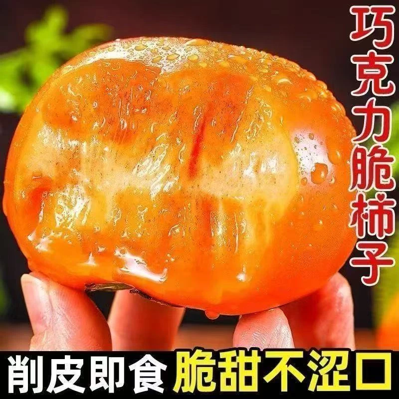 山西巧克力脆柿子应季鲜果X