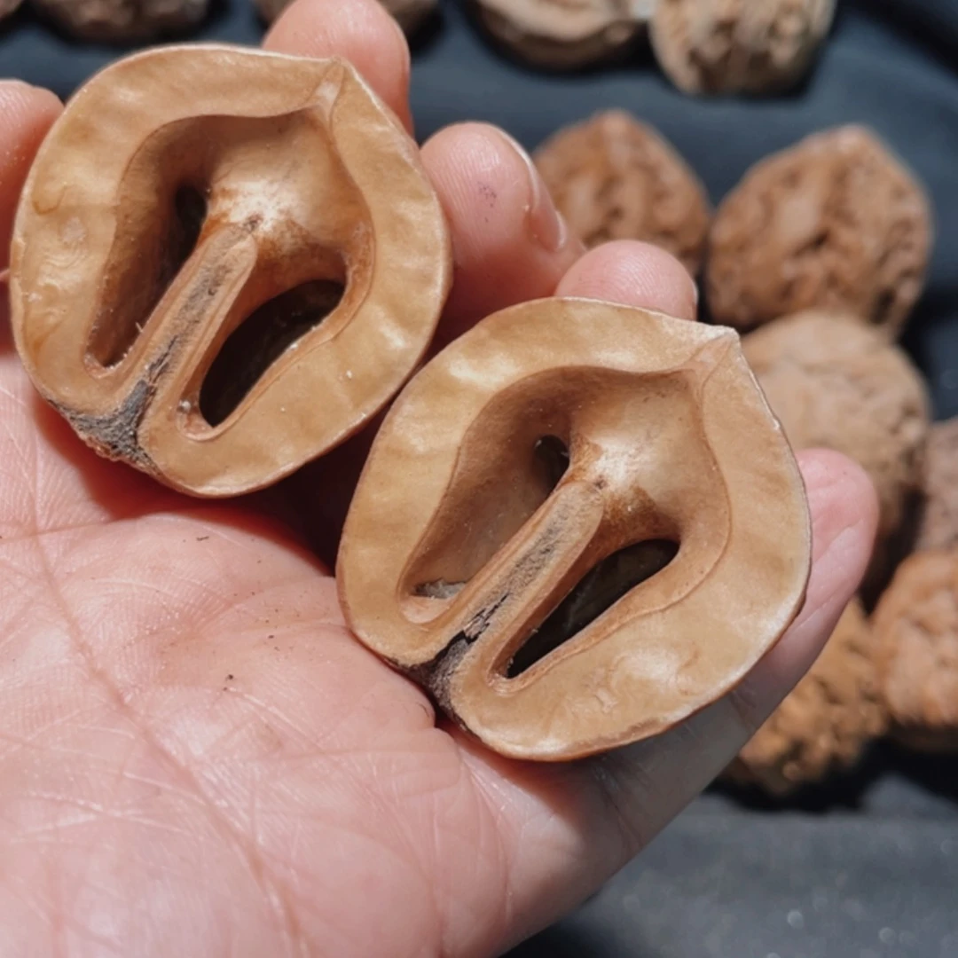 【闪购商品】把件文玩核桃，**，东北楸子19