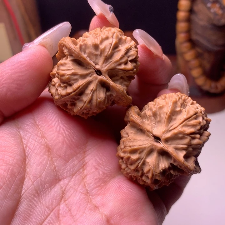 文玩核桃把件秦马