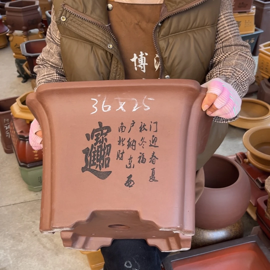 花盆紫砂盆景艺术