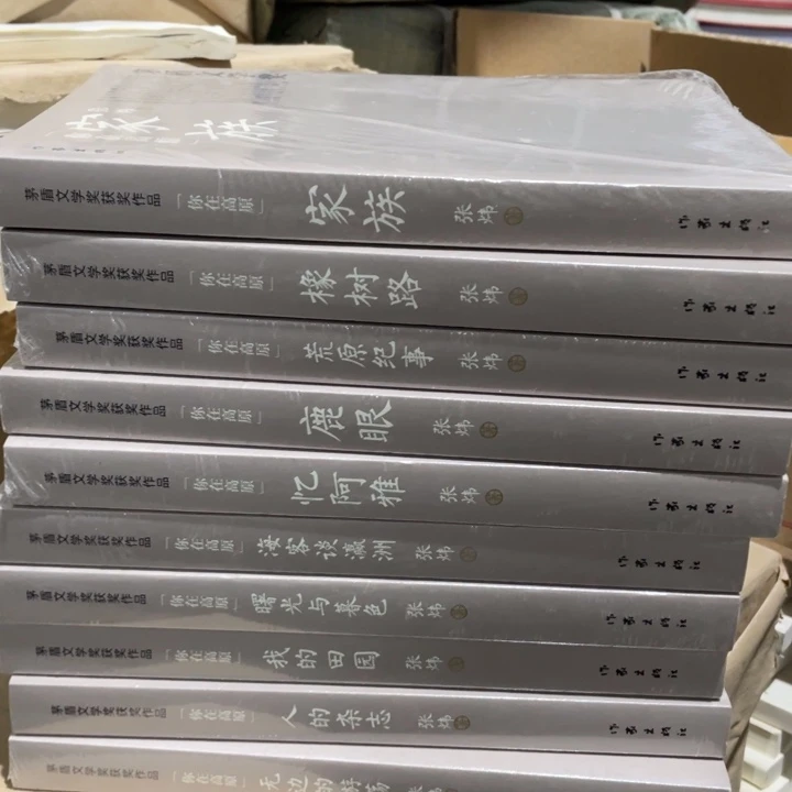 茅盾文学奖，你在高原