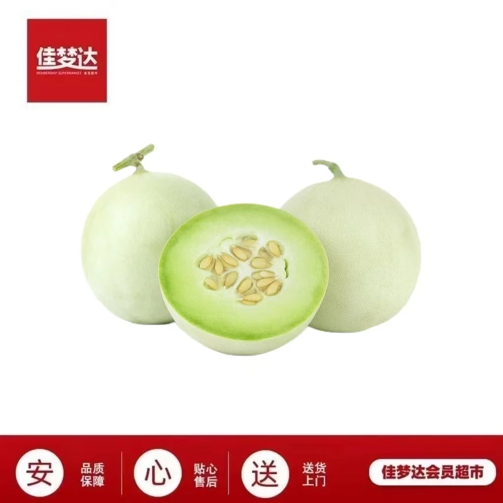 翡翠蜜瓜 约1.6kg甜瓜