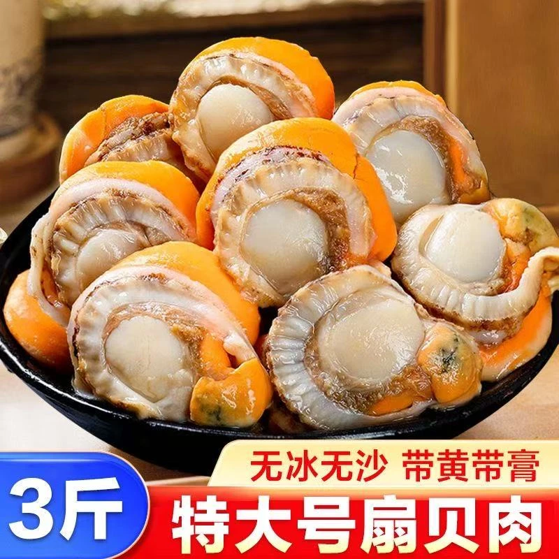 新鲜特大号冷冻扇贝肉无泥无沙海鲜美味佳肴商用3斤/盒连云港发货