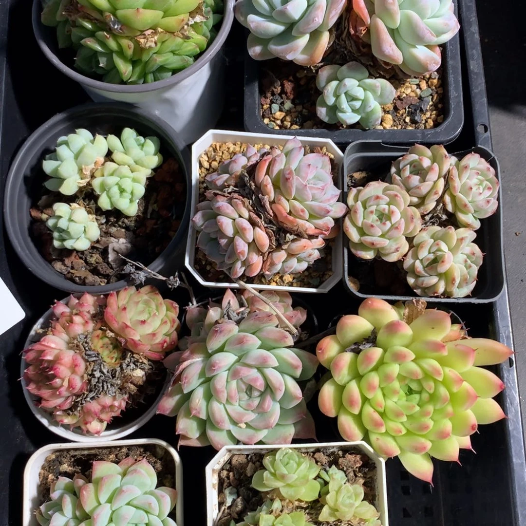 1103-102 套餐一组